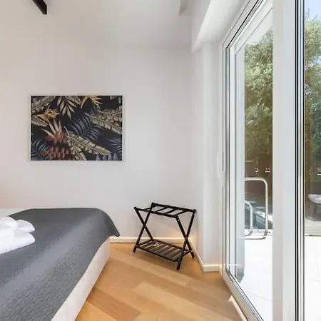 Apartment Modern In
